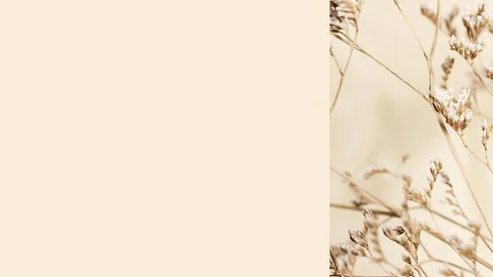 Farbkachel in beige, daneben ein farblich passendes Pflanzenbild