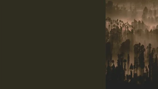 Farbkachel in granitgrau, daneben ein farblich passendes Bild von einem Wald