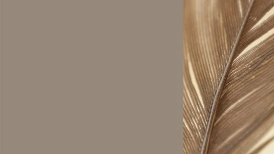 Farbkachel in lehmbraun, daneben eine farblich passende Vogelfeder